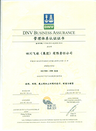 ISO9001：2008管理體系認證證書【四川飛球（集團）有限責任公司】1